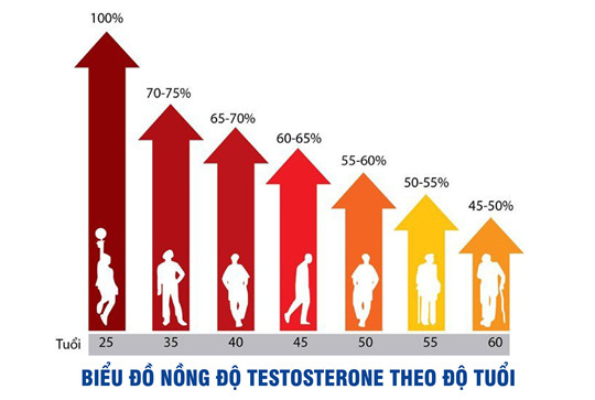 Testosterone theo từng độ tuổi