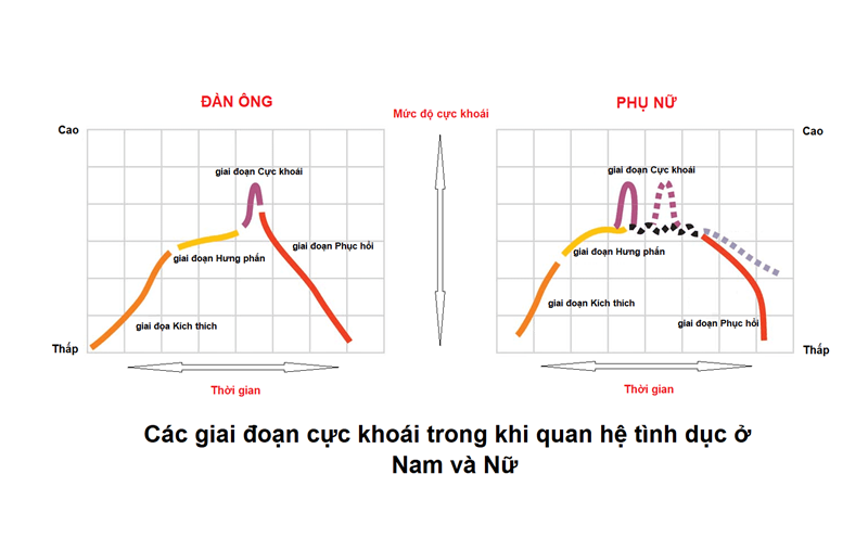 Khám phá các giai đoạn cực khoái khi quan hệ tình dục của đàn ông và phụ nữ | Huggies